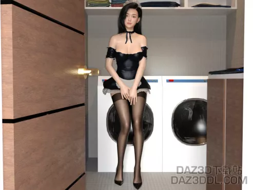 洗衣房女仆_DAZ3DDL