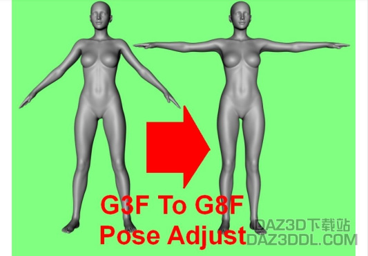 G3F G8F pose adjust scripts 怎么用啊？？_DAZ3DDL