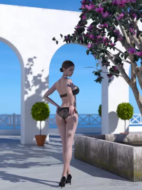 度假_DAZ3DDL
