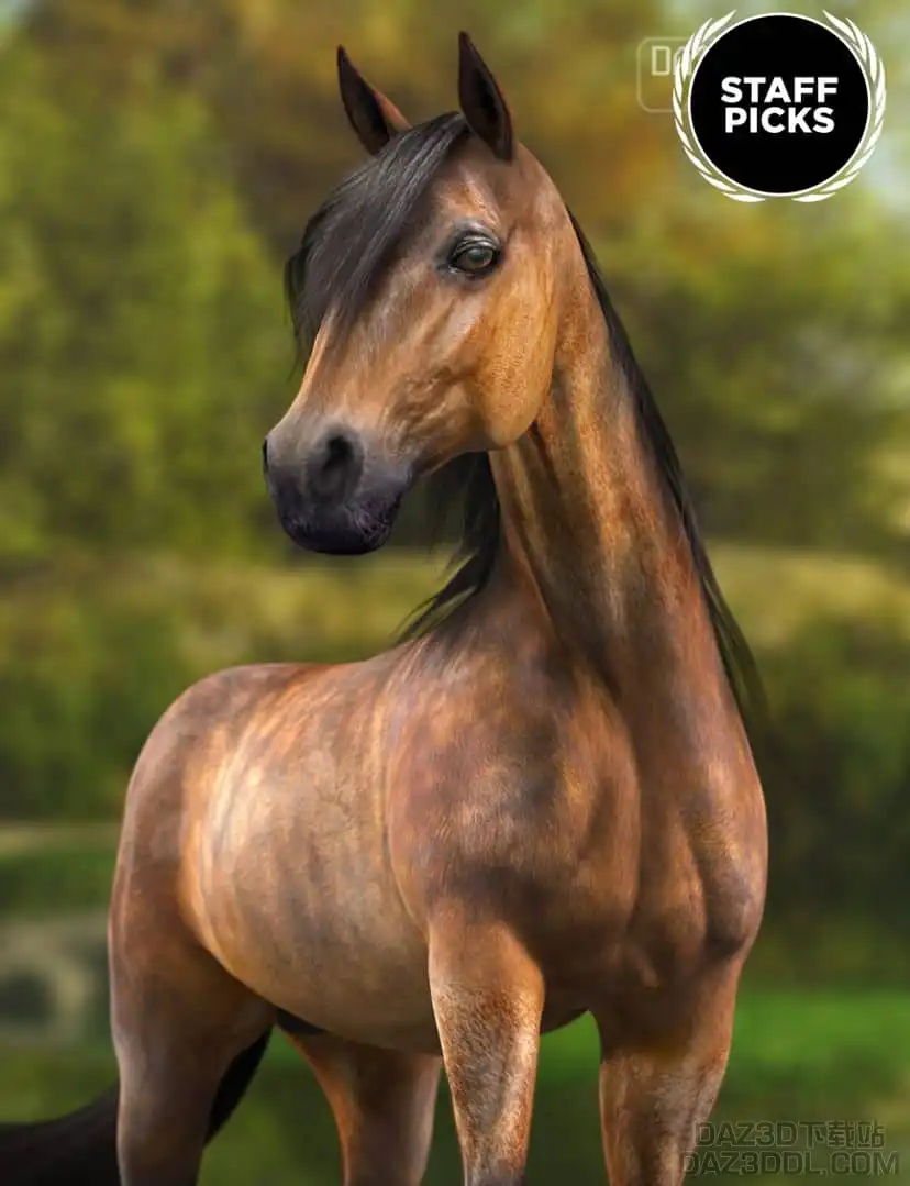 Daz Studio的马3D模型