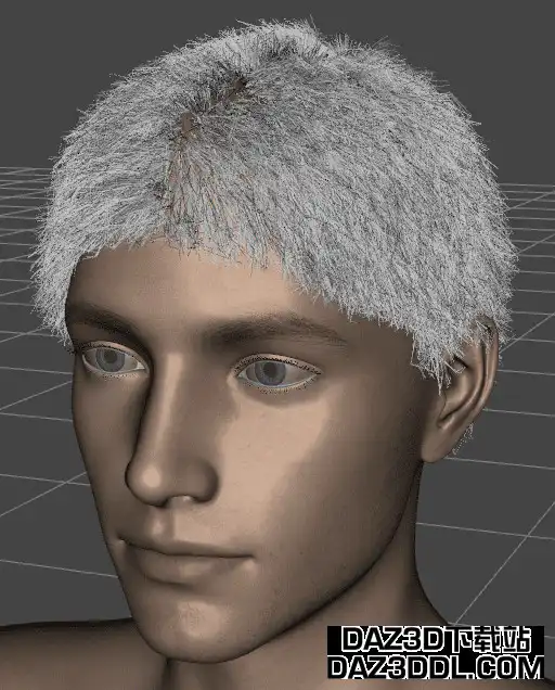 daz3d 基于发丝的头发可见
