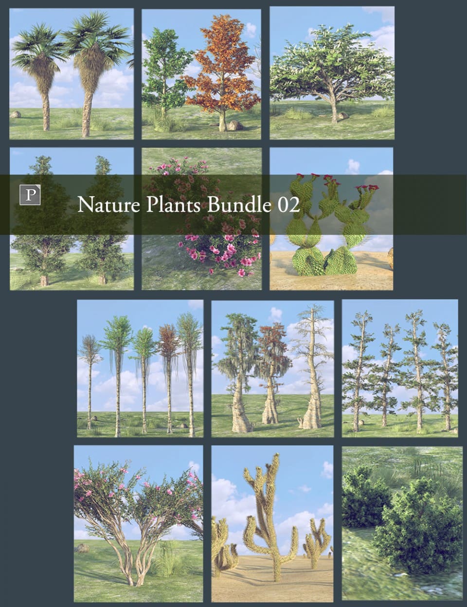 自然植物Bundle 02