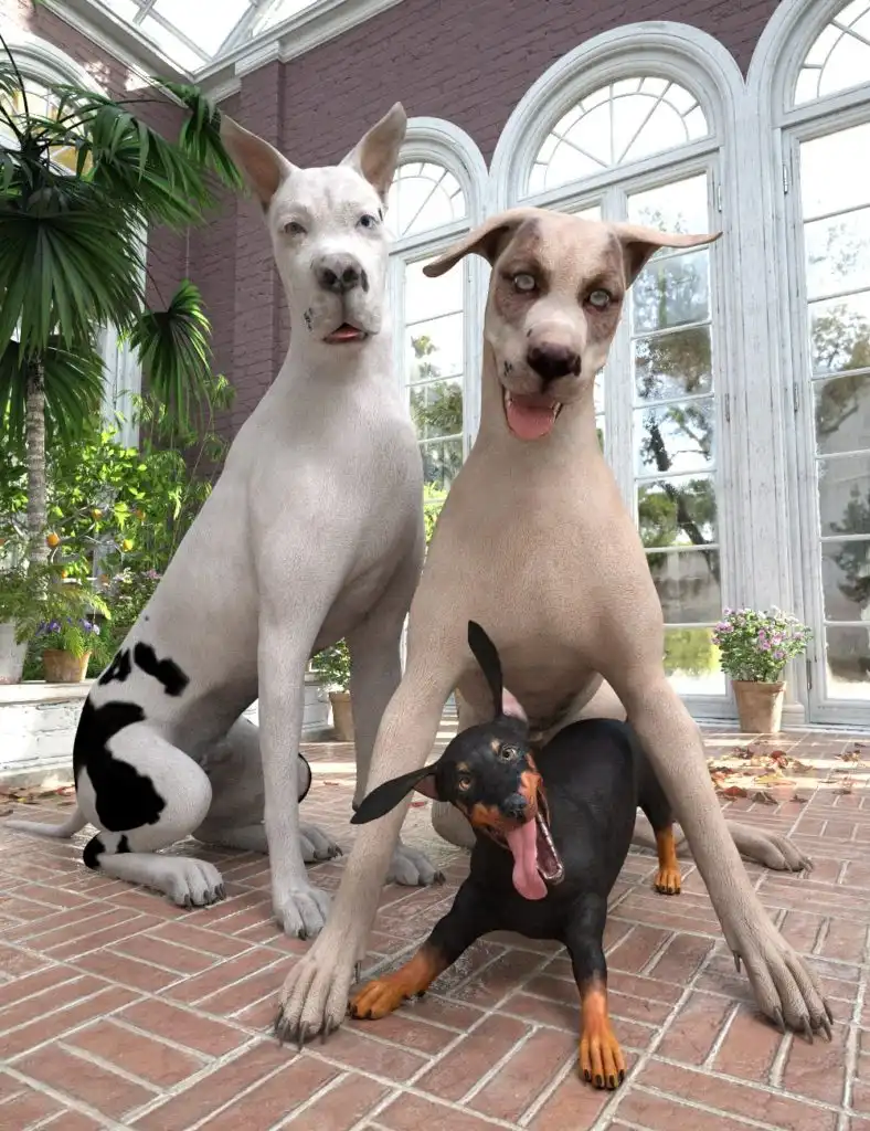 戴兹犬8号有三个朋友