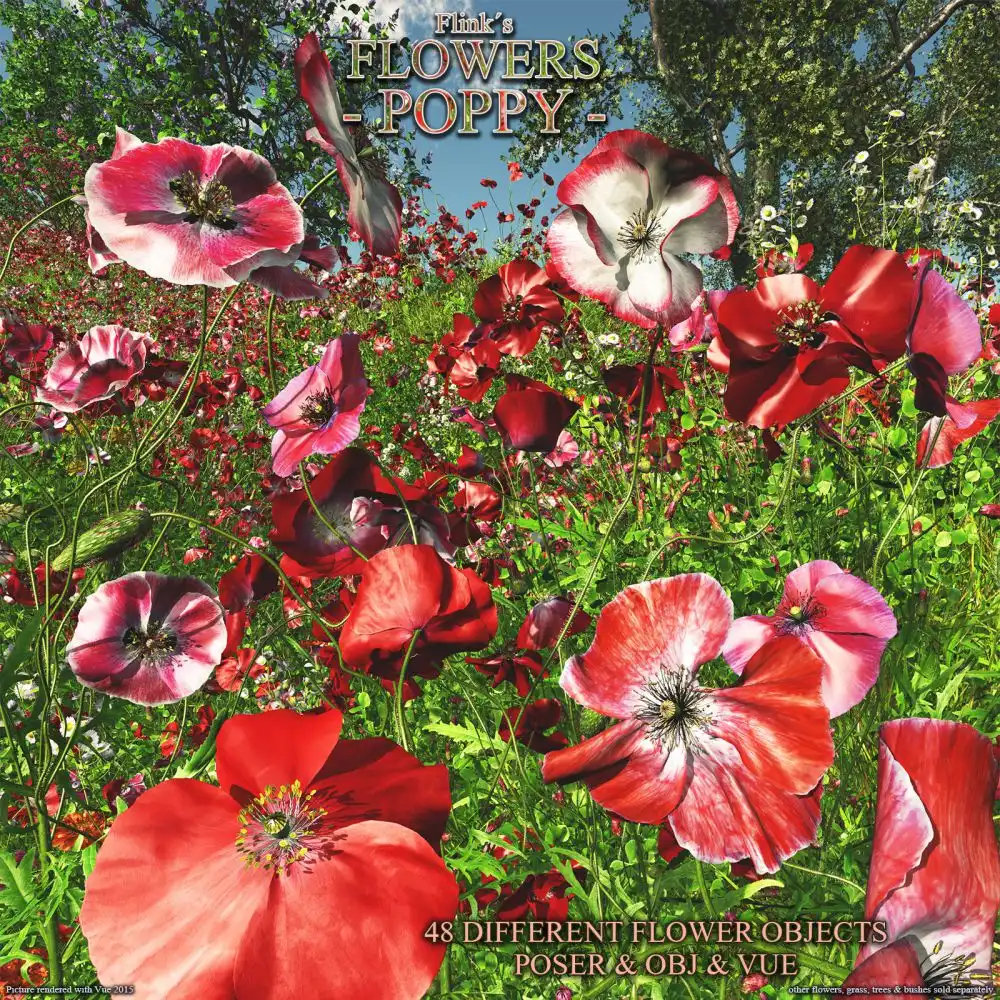 小花-花4 -罂粟