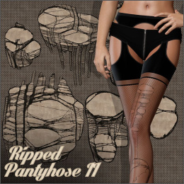 PB – Ripped Pantyhose II_DAZ3DDL
