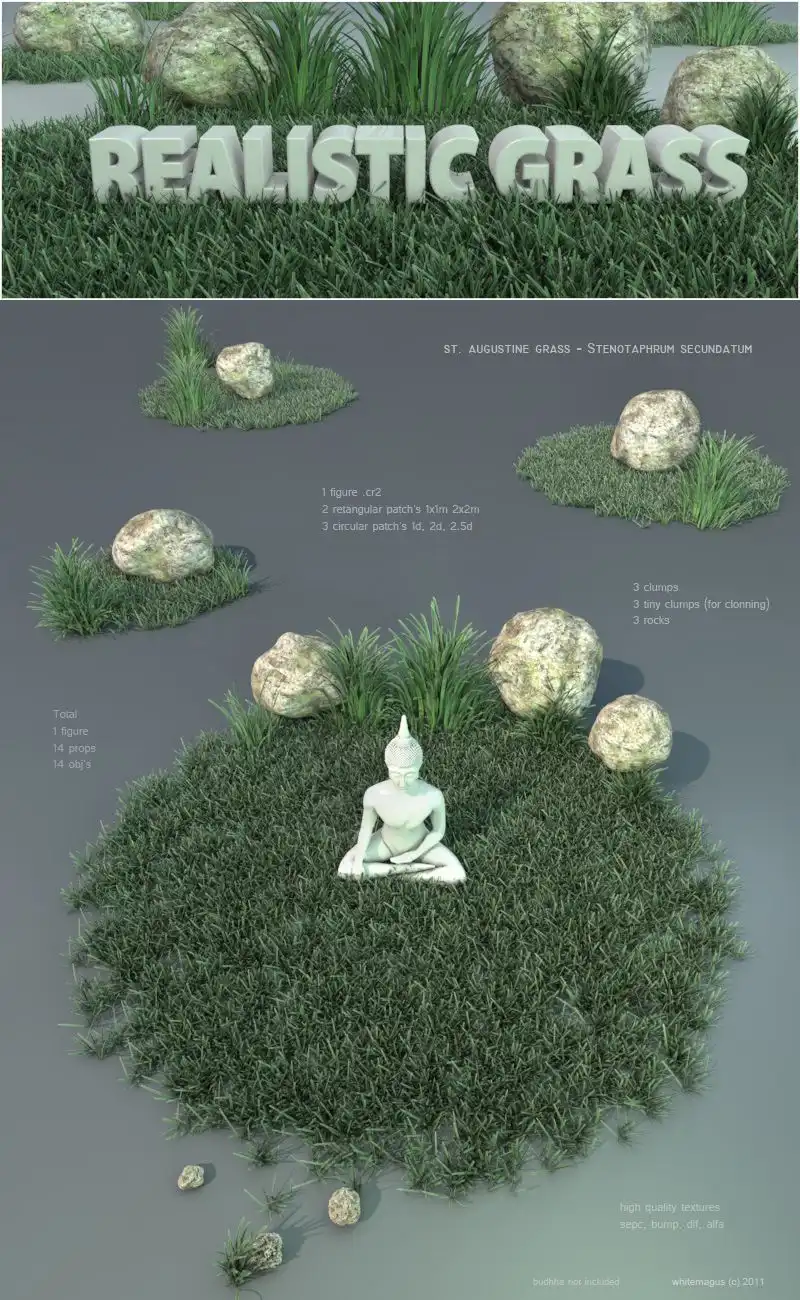 现实的草