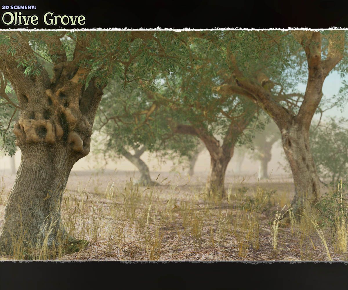 3D风景:Olive Grove