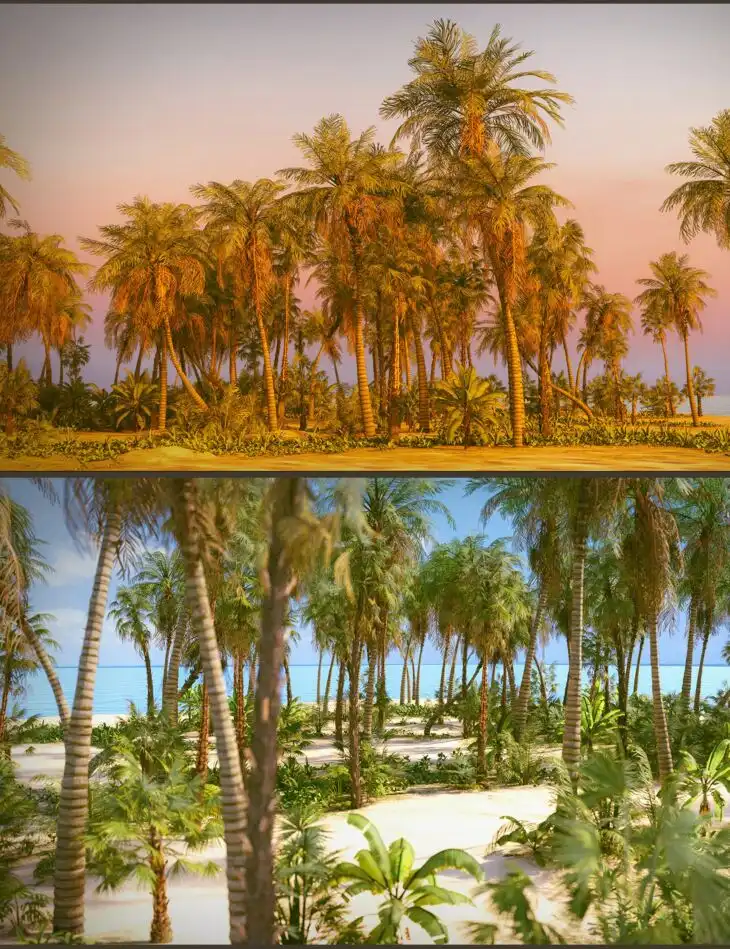 热带海滩
